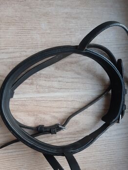 Kieffer Reithalfter mit Sperriemen, englisch, Gr. VB-WB, gebraucht KIEFFER