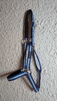 Halfter mit  Führstrick black forest blau/weiß Warmblut loesdau