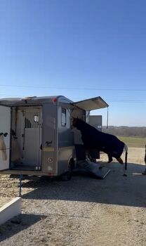 Pferdetransporter Opel Paragan Opel Paragan 