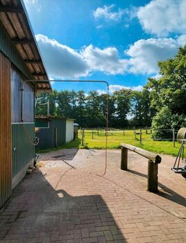 Offenstall/Boxen frei in 27232