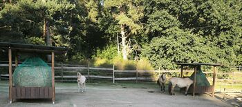 Offenstall/Bewegungsstall, Offenstall  Offenstall , Bender Pia , Horse Stables, Carlsberg 