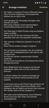 Offenstall für Wallach