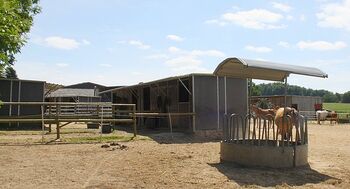 Offenstall für bis zu 3 Pderde, Patricia, Equestrian Properties, Schwentinental