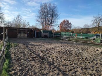 Offenstall-/ Laufstall-/ Stallplatz für Stute