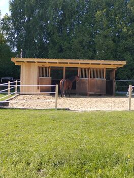 Offenstall oder Box ab Juli/August frei