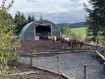 Offenstall, Einstellplatz, Beistellpferd, Daniela, Horse Stables, Schmidthachenbach