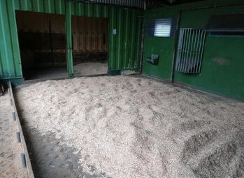 Offenstallplatz frei zum 01.07.2025, Leonie , Horse Stables, Prinzenmoor