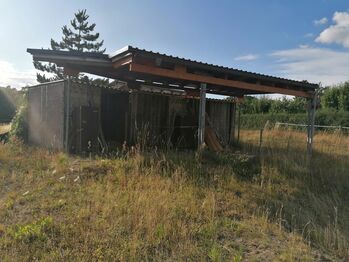 Offenstallplatz mit Paddock Trail in kleiner Herde, Teresa Kumpe, Horse Stables, Frankfurt (Oder)