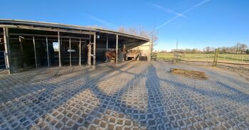 Offenstall in Datteln, Bianca , Horse Stables, Datteln