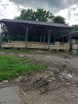 Offenstallplätze, Carmen Naeve , Horse Stables, Ripsdorf 