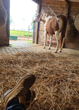 Offenstallplatz, Kirstin Redlin-Neuhaus, Horse Stables, Kerpen