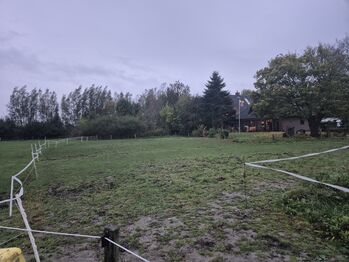 Offenstallplatz für Kur und Dauerplatz frei