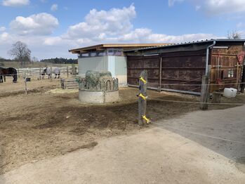 Offenstallplatz Frei, Jacki , Horse Stables, Reichertshofen 