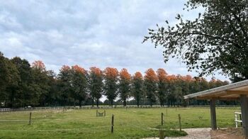 Offenstall für Rentner in Vollpension, Vivienne Farinski, Equestrian Properties, Recklinghausen