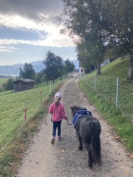 Pflege-/ Reitbeteiligung