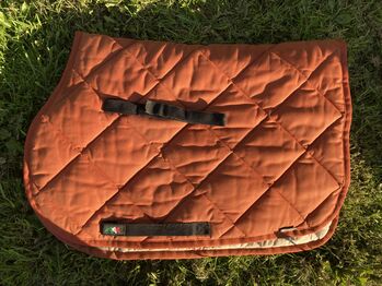 Orangene Equiline Schabracke, Equiline, Merle, Dressage Pads, Husum