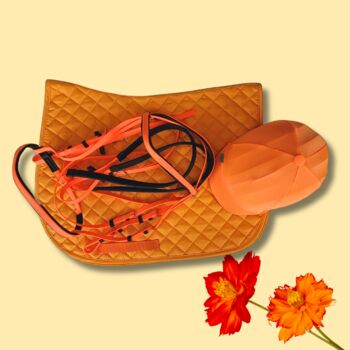 Oranges Reitset mit Schabracke, Zaumzeug & Reithelmüberzug, Maya (Swisshorseshop), Bridles & Headstalls, Frauenfeld