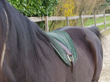 Originales Parelli Bareback Pad in schönem grün! Reitpad, Lederpad, Tannengrün Parelli Natural Horsemanship Bareback Pad