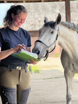 Pferdeosteopathie Bremen und Umland Nadja Warnecke