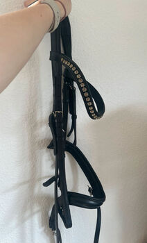 Otto Schuhmacher Trense, Otto Schuhmacher , Julie , Bridles & Headstalls, Bad Karlshafen