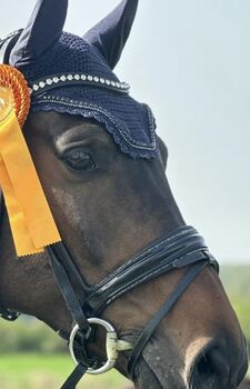 Otto Schumacher Trense „Feel Good" Gr WB, Otto Schumacher Feel Good, Anna , Bridles & Headstalls, Aarbergen