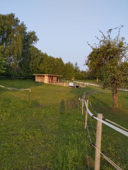 Offenstall oder Box ab Juli/August frei, Rendl Nicole , Wolna stajnia, Kallham 