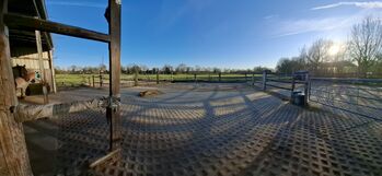 Offenstall in Datteln