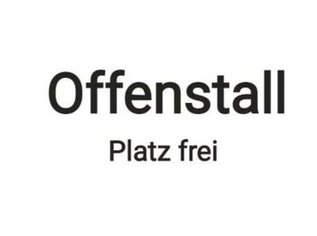 Offenstall Plätze, Denise , Wolna stajnia, Velpke