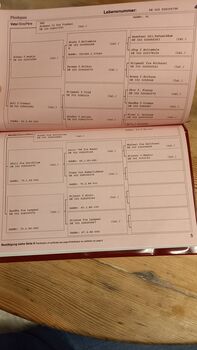 Ältere Island Stute zu verkaufen
