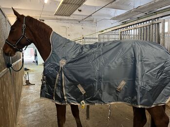 Outdoordecke 155cm/100g, Felix Bühler, Laura, Horse Blankets, Sheets & Coolers, Leipzig