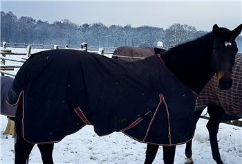 Outdoordecke 200 g 145 cm, Reitsport exklusiv , Buljubasic , Pferdedecken, Gladbeck 