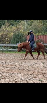 Verlässlicher 4-Gang-Isländer für Freizeit und Gelände in beste Hände abzugeben