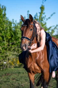 Verlasspferd sucht Herzensmensch