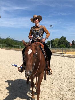 Zuverlässige, liebe Allround Quarter Horse Stute mit Showerfahrung