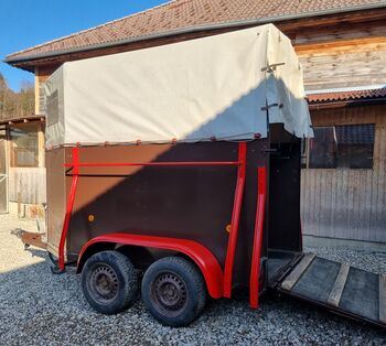 Pferde/ Vieanhänger Tandemachse, Zuck, Eule, Horse Trailers, Eberschwang