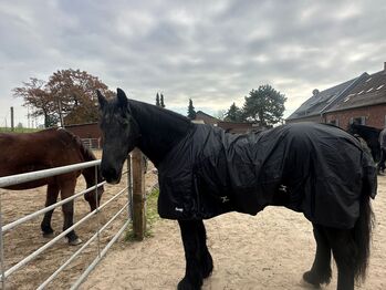 Pferd sucht Reiter-Reitbeteiligung