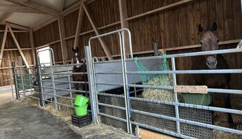 Pferdebox Stellplatz Aktivstall Allergiker