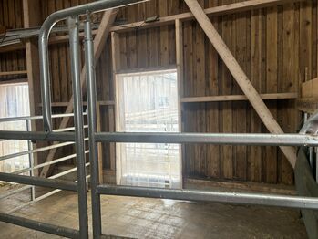 Pferdebox Stellplatz Aktivstall Allergiker