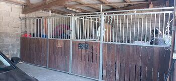 Pferdeboxen nach Stallauflösung zu verkaufen, Sulzberger,  Ehrkamp , Tack Room & Stable Supplies, Mayen