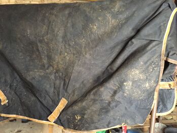 Pferdedecken waschen, imprägnieren und reparieren