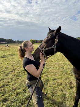 Pferdeosteopathie Bremen und Umland Nadja Warnecke, Nadja Warnecke, Therapy & Treatment, Bremen