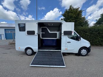 Pferdetransporter Renault 3,5t Hengstausstattung Viehtransporter, Renault Master Renault Master Hengst, Gerhard Strobel (Dickenherr Trucks und Trailers), Horse Trailers, Baden-Württemberg - Unterschneidheim