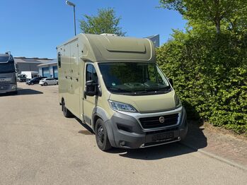 Pferdetransporter Theault Hengstausstattung Automatik 177PS, Fiat Theault Fiat Ducato Hengst, Gerhard Strobel (Dickenherr Trucks und Trailers), Horse Trailers, Baden-Württemberg - Unterschneidheim