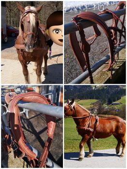 Pferdegeschirr, Martina Lechner , Horse Harness, Kirchberg in Tirol 