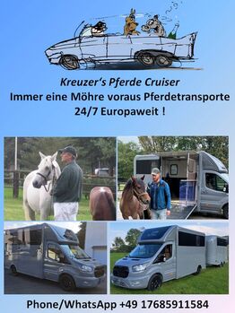 Europaweite Pferdetransporte 24/7