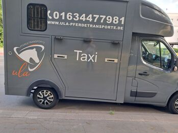 Pferdetransporte von A nach B Renault Master Stallion 2 Pferde