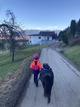 Reitbeteiligung, Bianca, Horse Sharing, Attersee