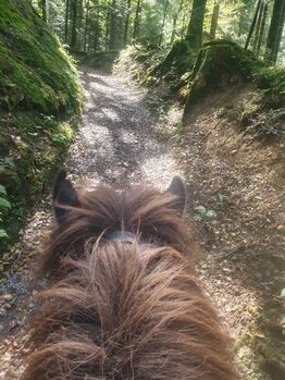 Reitbeteiligung, Dane, Horse Sharing, Escholzmatt