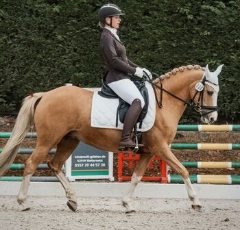 Reitbeteiligung, Isa1, Horses For Sale, Euskirchen