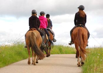 Reiterferien für Mädchen ab 10, in Bayern. Sommer noch Plätze frei., Karina Fuchs , Riding Holidays, Dinkelsbühl